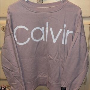 Calvin Klein Women's Mauve Crew Neck Sweater